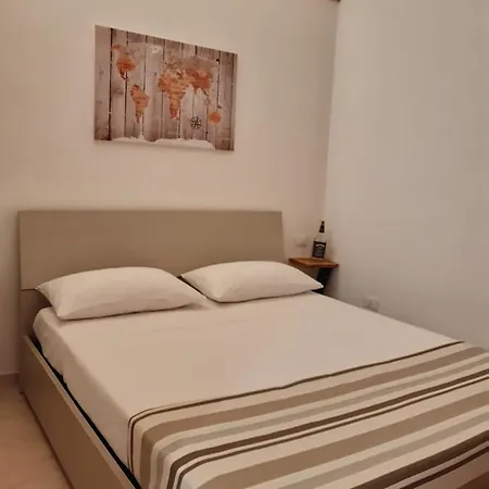 Cenvi House *