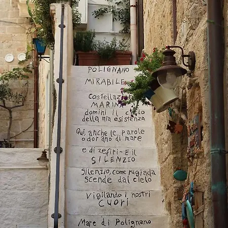 Appartamento Cenvi House