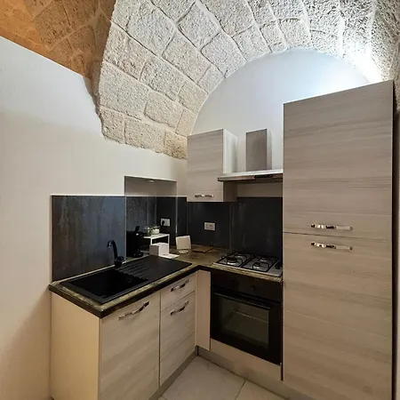 Apartment Cenvi House