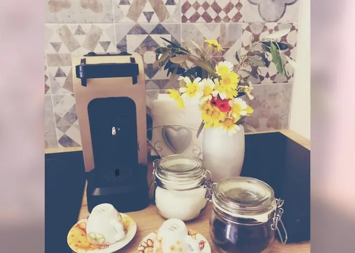 Cenvi House 98 Daire